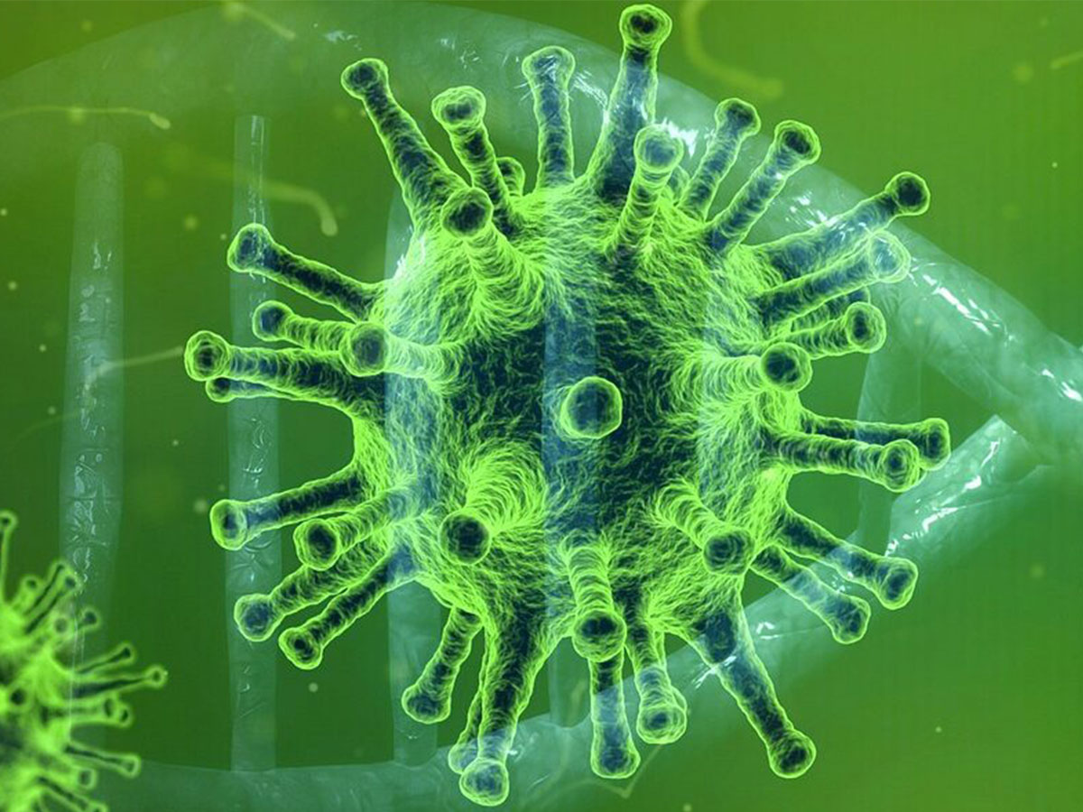 Illustration of Coronavirus