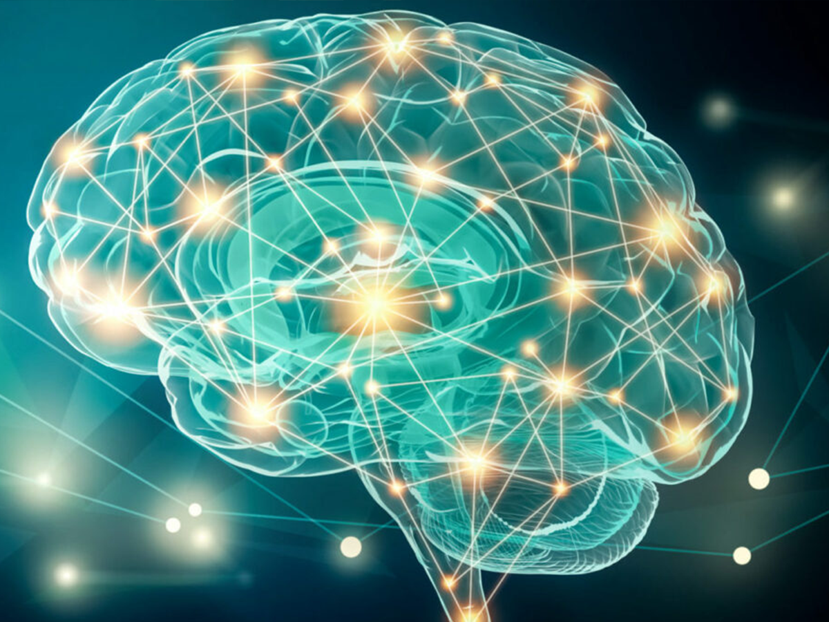 Young brain fluid improves memory in old mice