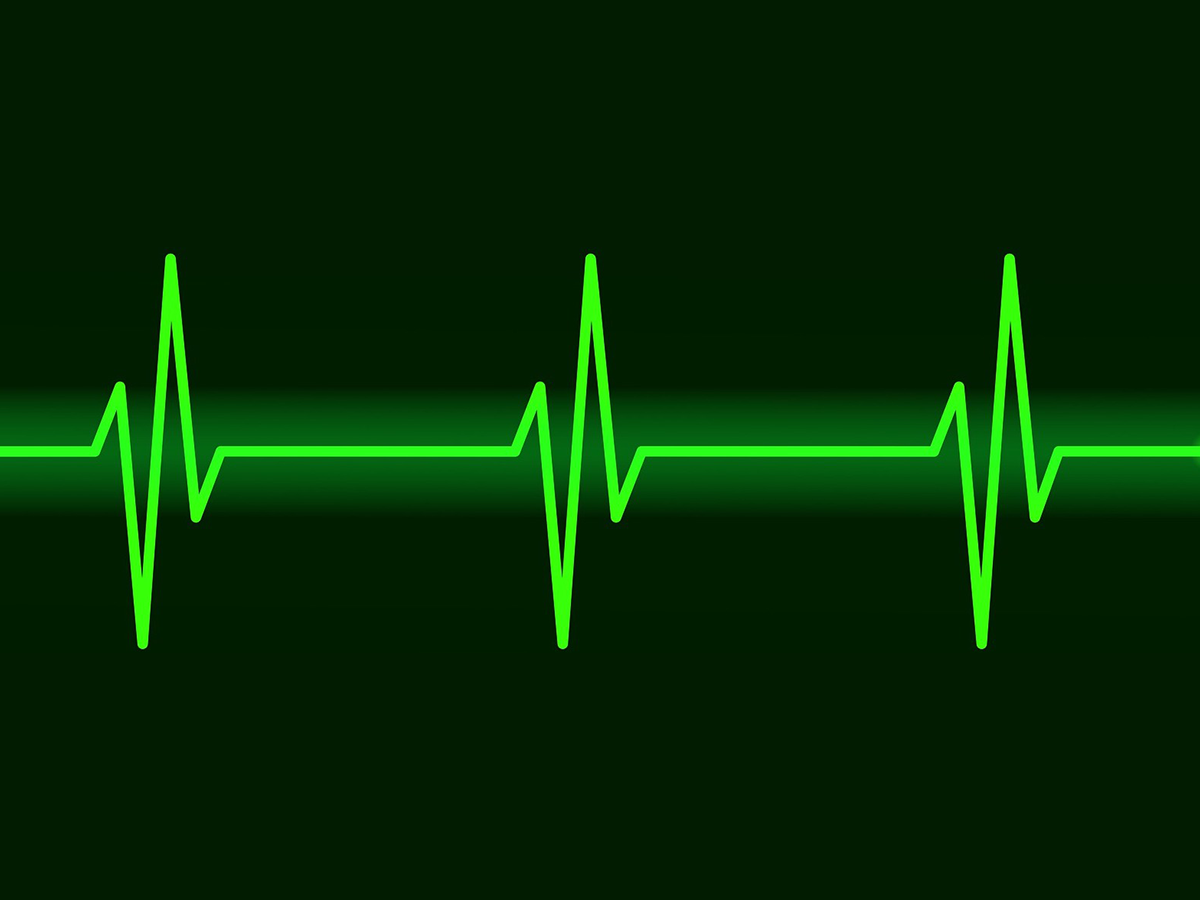 A racing heart drives anxiety behavior in mice