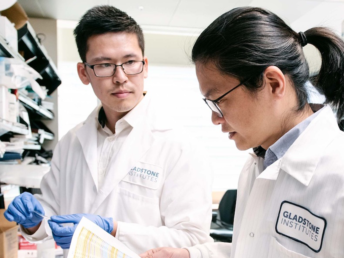 Call for applications to the NOMIS–Gladstone Fellowship Program