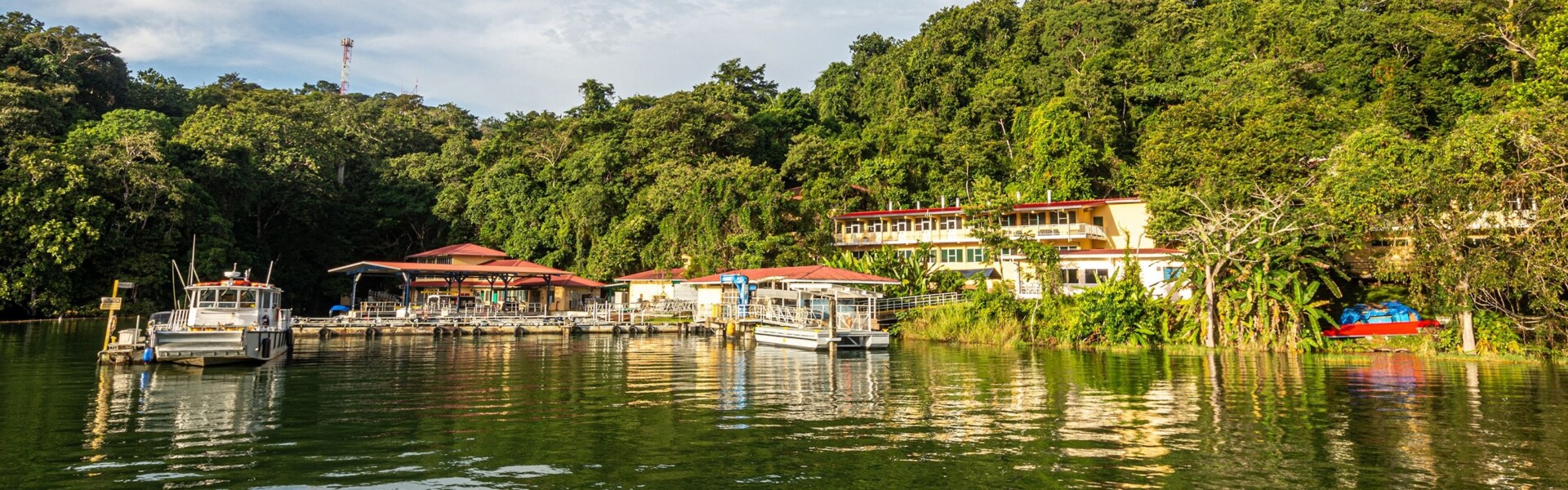 Smithsonian Tropical Research Institute (STRI)