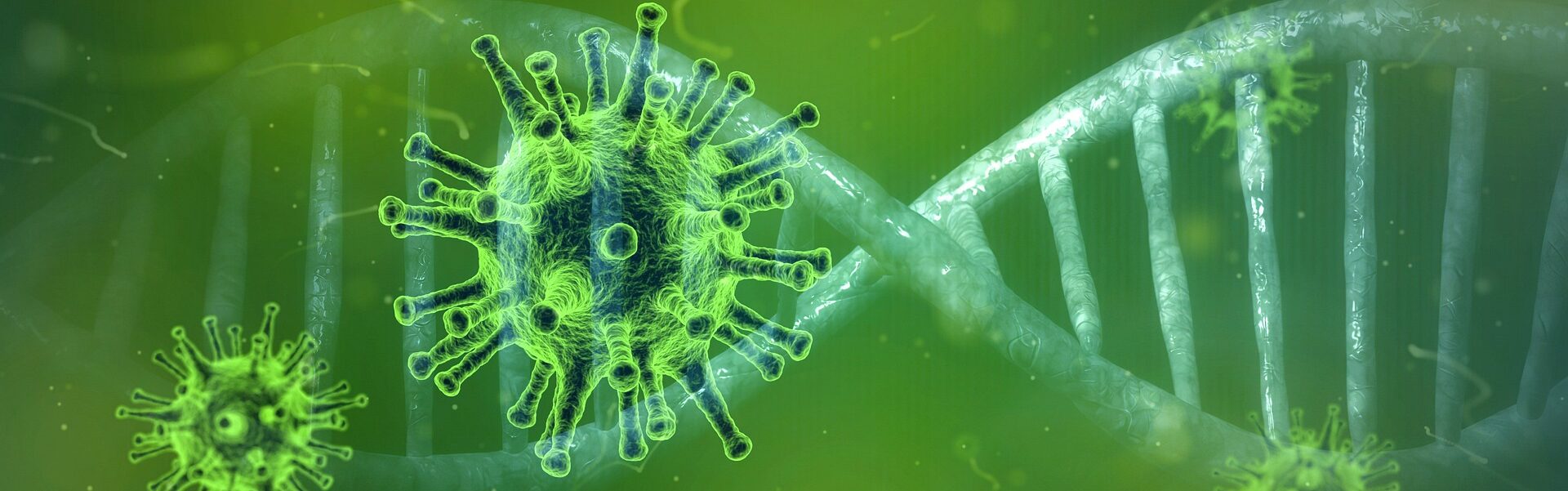 Illustration of Coronavirus