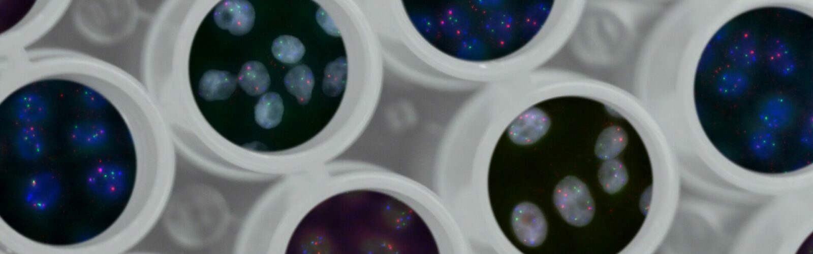 Close-up of a module