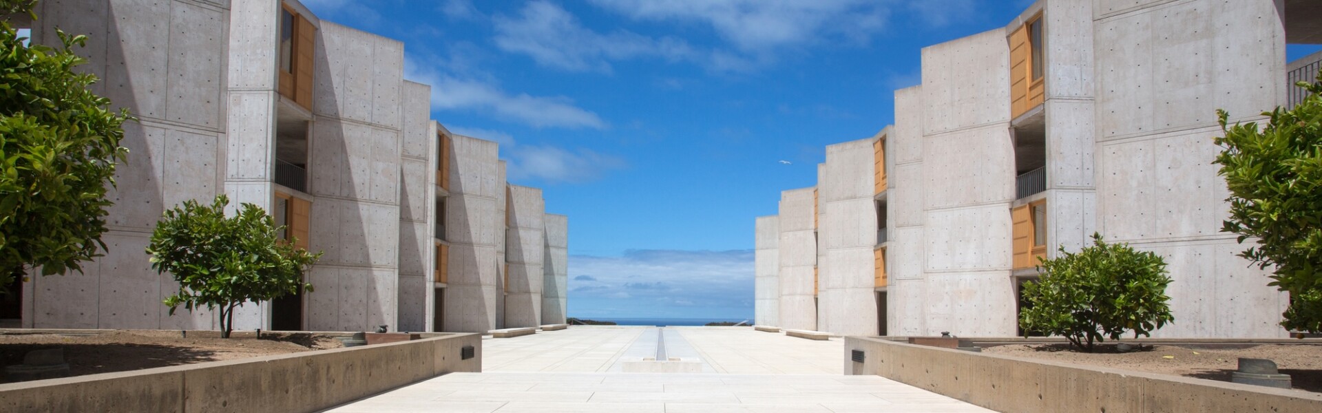 Salk Institute
