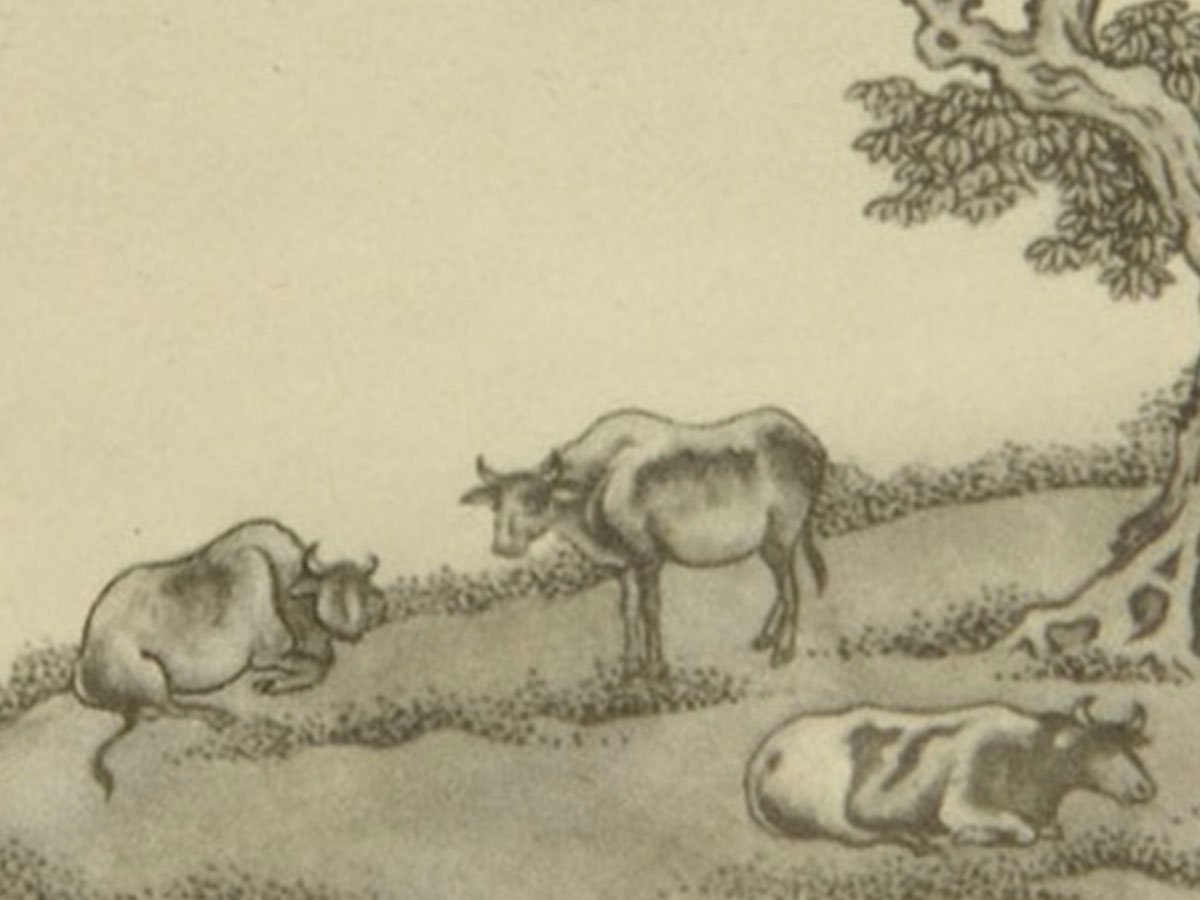 Depictured Worlds: The Perceptual Power of Pictures