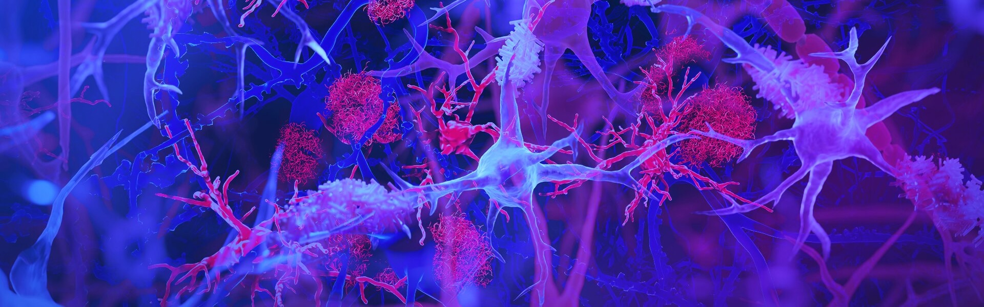 picture of the nervesystem