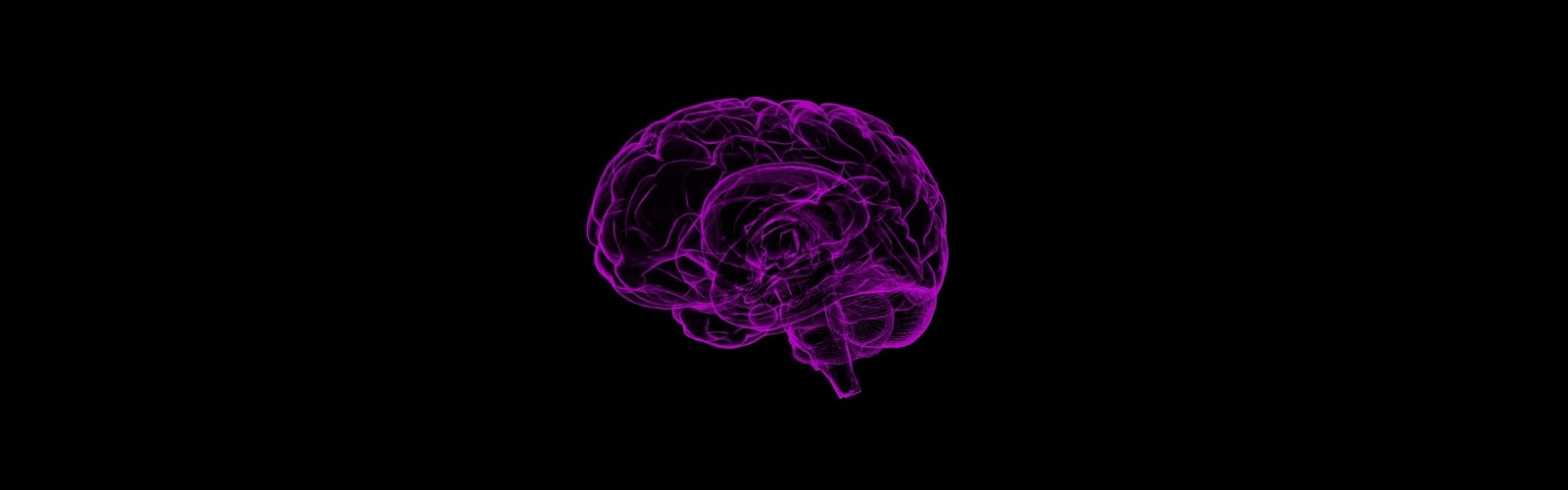 a purple brain on black background