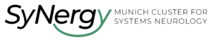 Logo Synergy